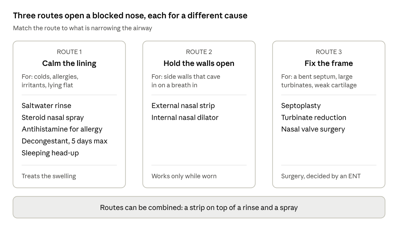 Three routes to an open nose: calm the lining, hold the walls open, fix the frame.