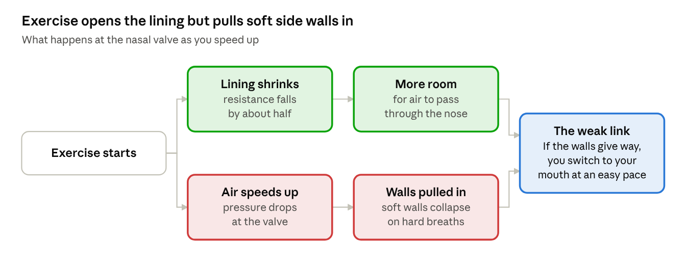 Exercise shrinks the lining, but faster air pulls soft side walls in; if the walls give way, you switch to your mouth at an easy pace.